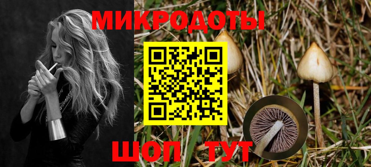Галлюциногенные грибы мицелий Кондопога