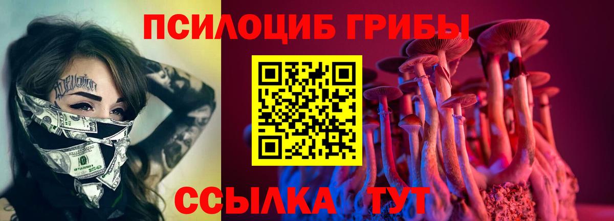 Галлюциногенные грибы Cubensis  Галлюциногенные грибы GOLDEN TEACHER  Вход с VPN  Кондопога 